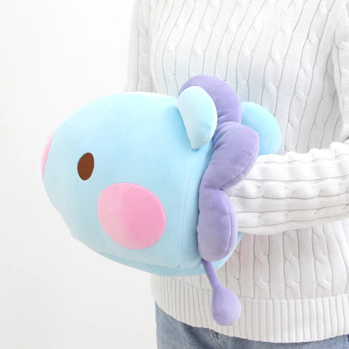 BT21 Baby Hand Warmer Cushion
